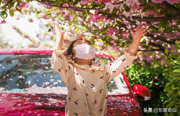 2021年文字祝福,2020年祝福合集