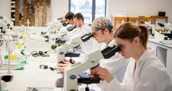 及第留学解析美国留学生物医学工程（BME）/生物工程（BE）申请