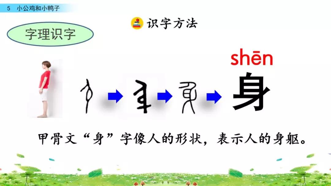 小公鸡和小鸭子一年级下册组词,一年级语文小公鸡和小鸭子复习