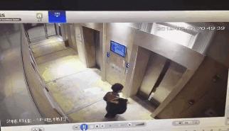 最新犬伤处置流程,关于犬伤处置