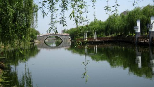 每天带你了解更多知识,每天带你认识一个医学专业