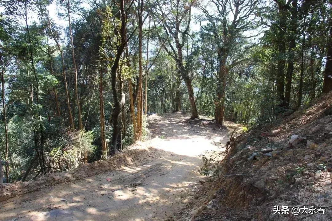 永春免费旅游景点大全一日游,永春山歌小镇旅游攻略