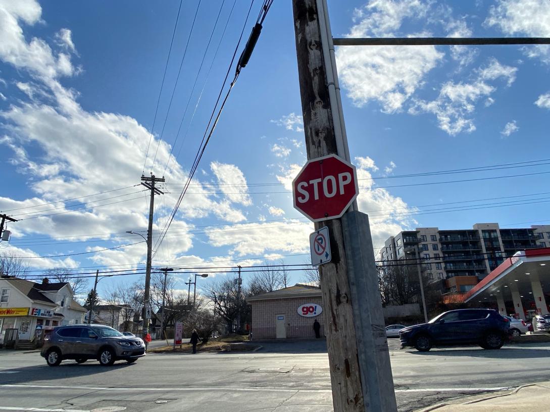 老树开新花--深度体验现代第六代Elantra附北美租车出游详记