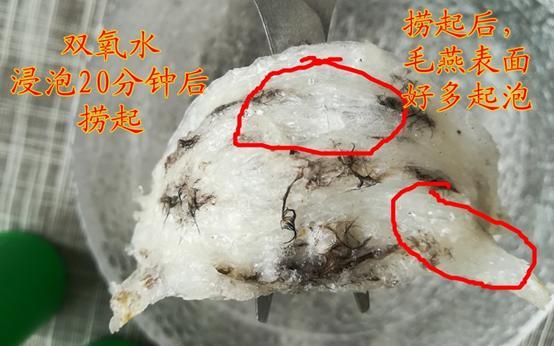 你一定要知道的燕窝小知识,燕窝知识百答之基础篇