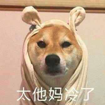 狗子鼻子干裂了怎么办,为什么狗子的鼻子干干的