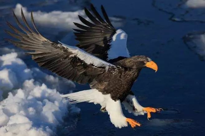 河南景点春节门票免费,河南春节免费景点