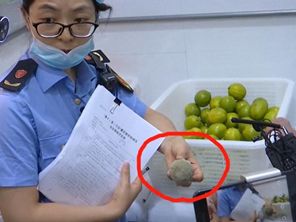 瀹濋緳鍒嗘媶鍟嗕笟涓婂競,瀹濋緳鍒嗘媶鍟嗕笟涓婂競鏆撮湶杩愯惀鐭澘