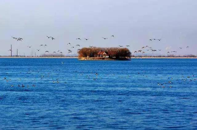 南皮县大浪淀,大浪淀好玩吗