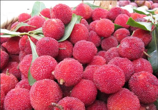 杨梅里的小虫子怎么清洗,杨梅里面有虫子怎么清洗