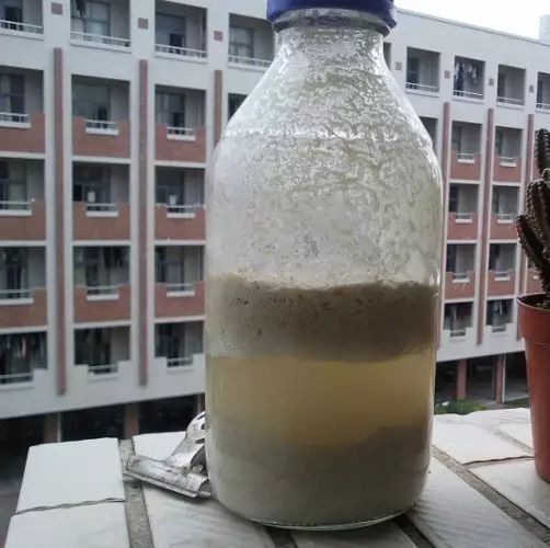 绿萝与铜钱草四季养护,怎么让铜钱草长得和绿萝一样