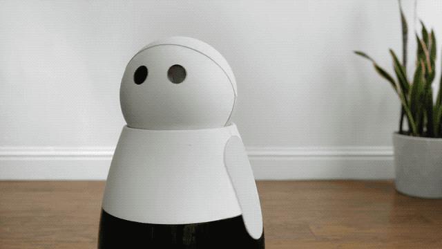 逝者安息，生者坚强：盘点2018年倒闭的明星创业公司