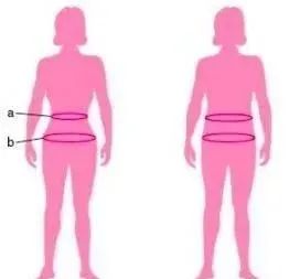 女性腰臀比0.9如何锻炼,什么样的腰臀比可以快速练出翘臀