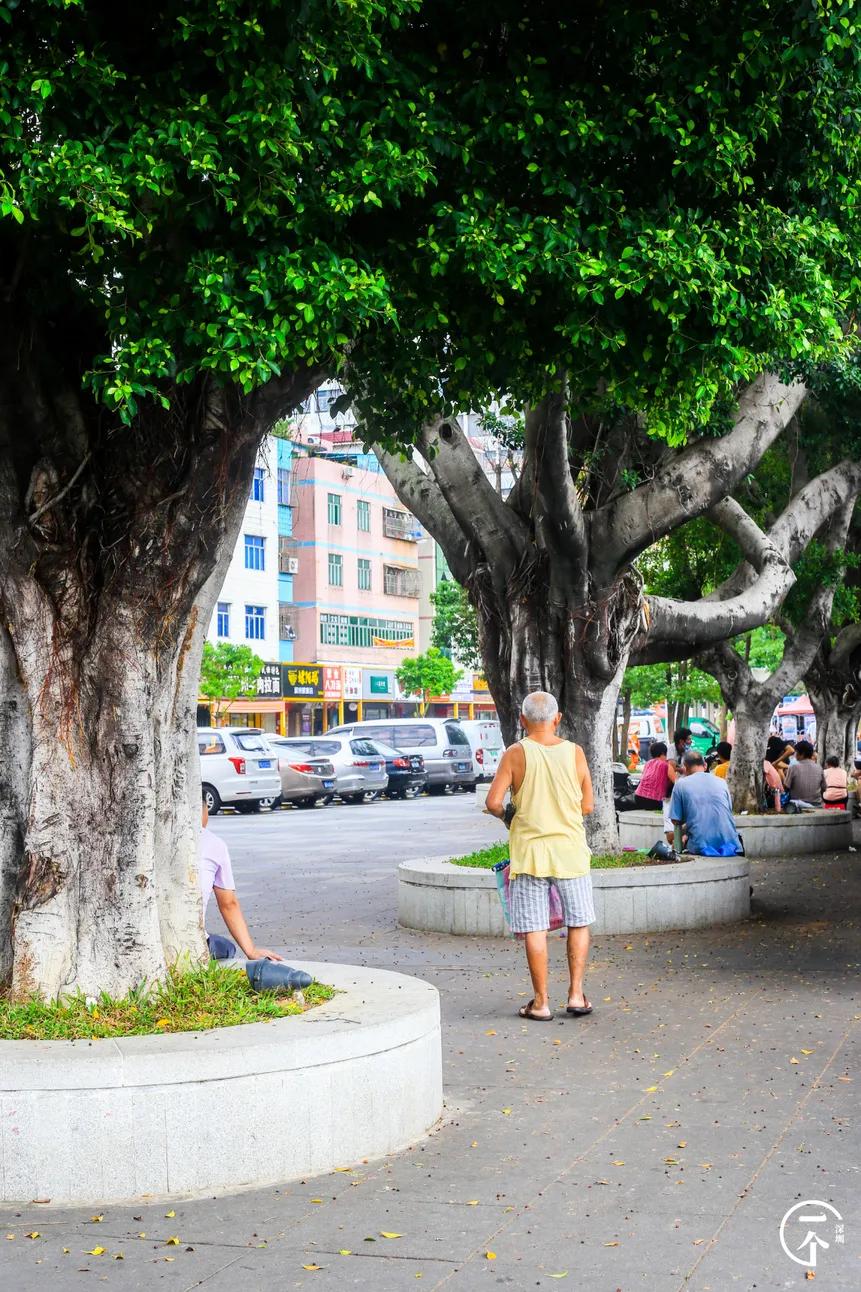 深圳“厂妹”村：租客月入4000，房租500