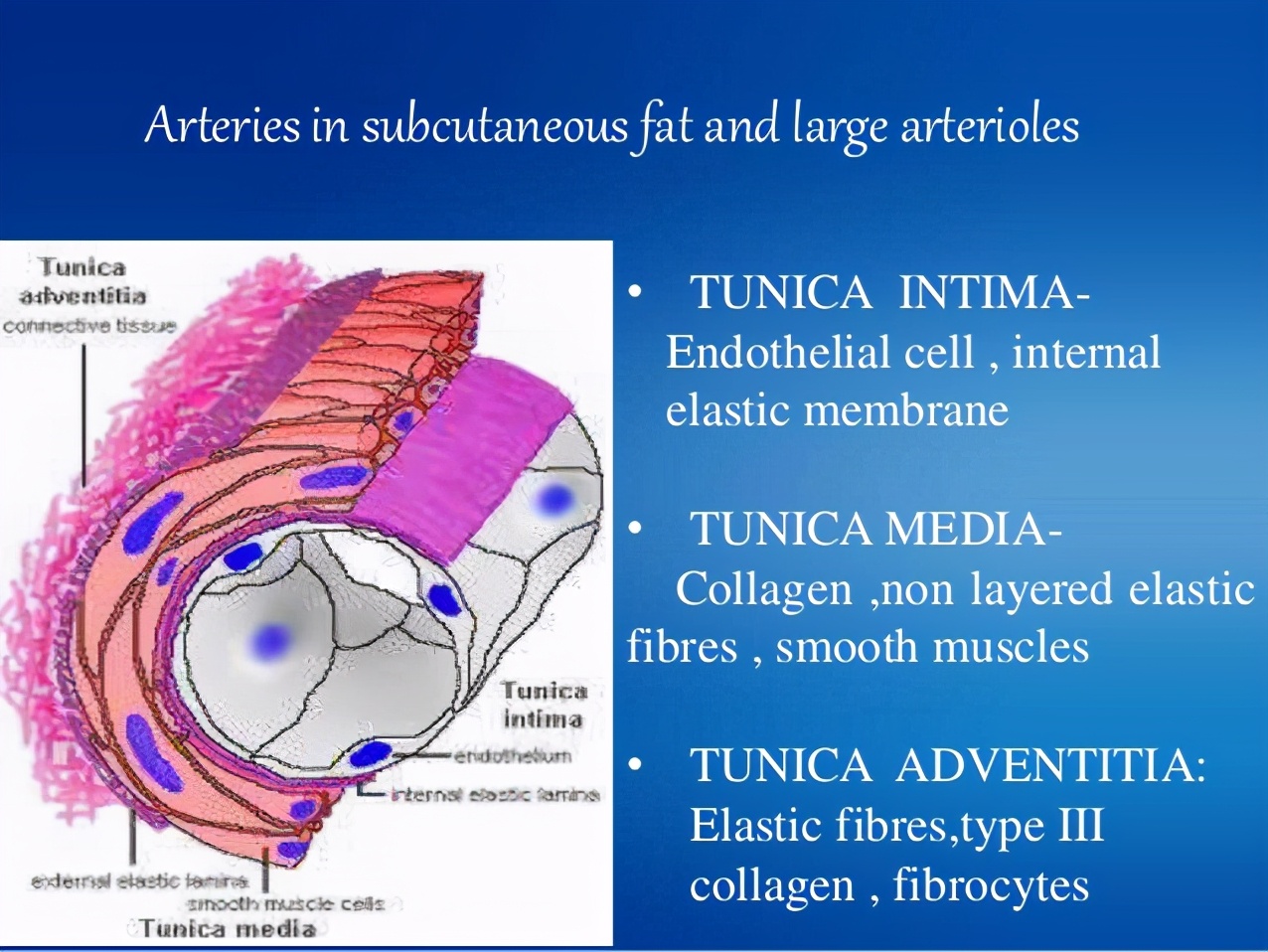 关于美国变异鹿最新消息,美国诡异事件鹿人