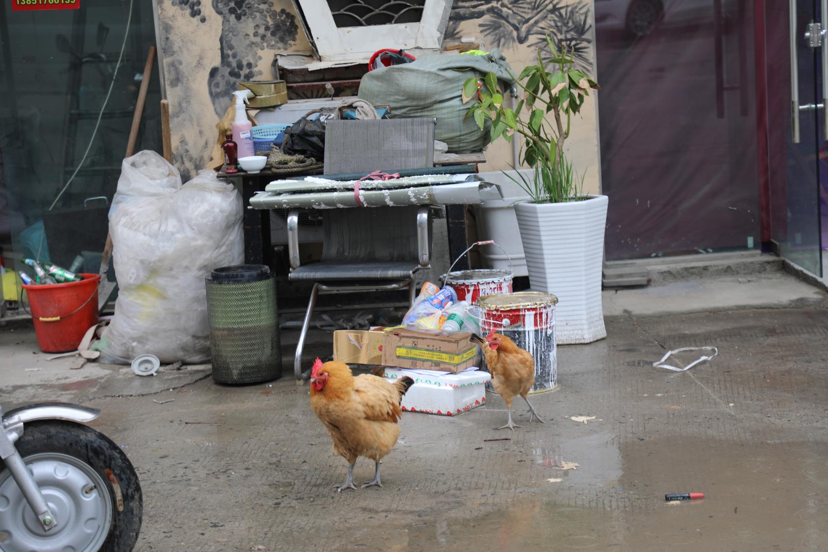 南京六合画家村最近消息,南京六合画家村