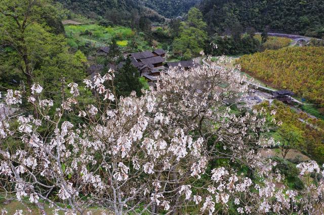 小南海地震遗址天气,这个地方为啥叫葫芦岛
