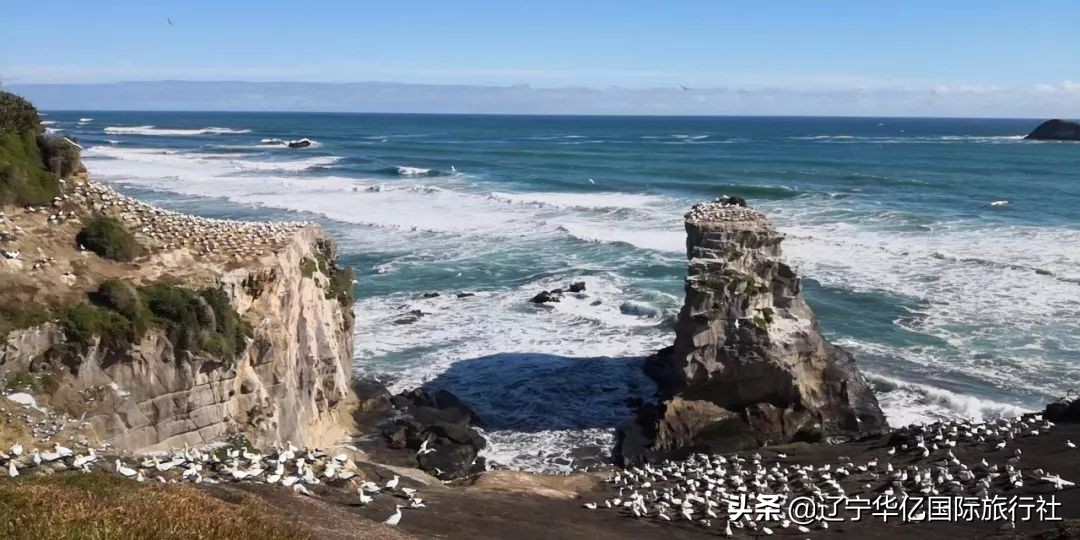 看世界震撼视频,看世界的震撼