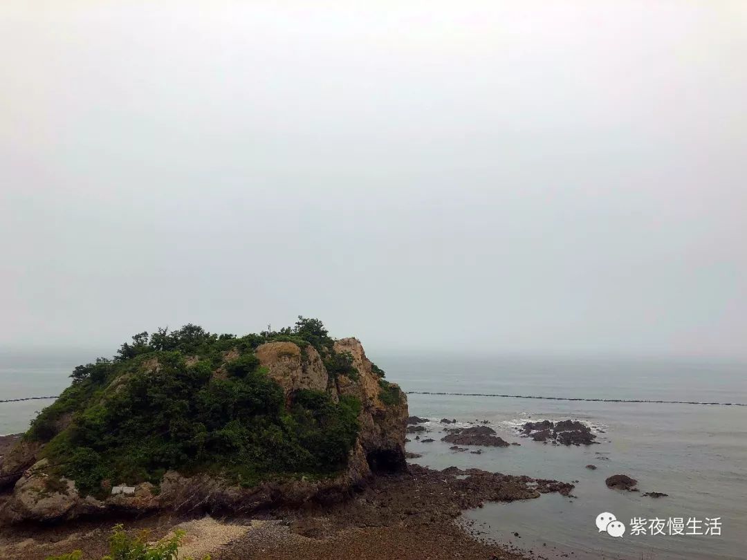 大连金石滩希尔顿酒店海景,大连鲁能希尔顿度假酒店海景房