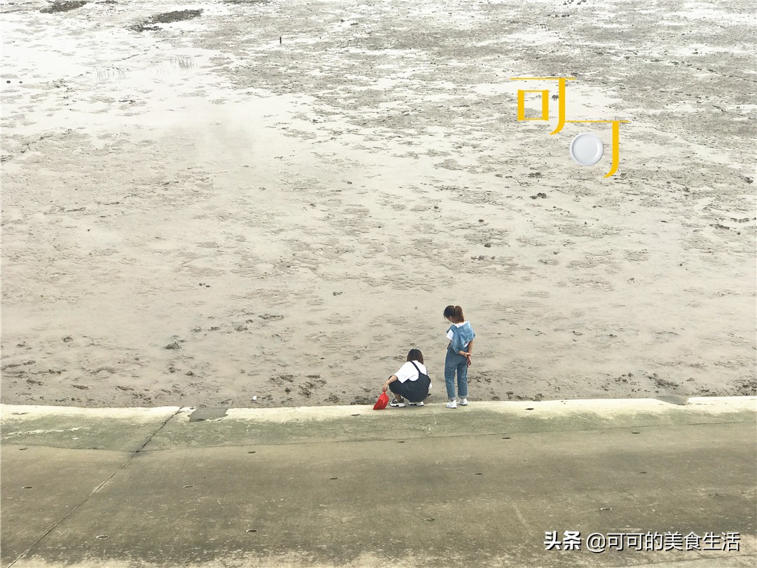 平湖莫氏庄园附近有什么吃的,平湖乍浦镇吃饭推荐