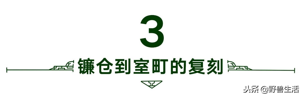 养胃抗衰老刮油的茶,喝这个茶竟能抗衰老