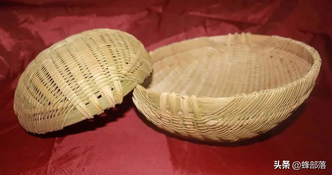 农村的空房子做什么行业可以赚钱,明年在农村做养殖行业哪种更赚钱