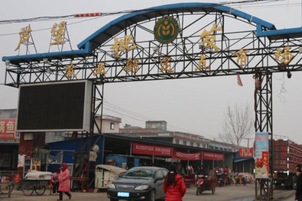 焦作的这个城中村，被称为留情村，是大学生情侣的天堂