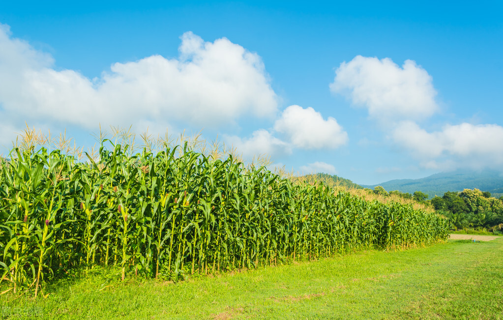 高考结束后我就踏上了打工的路,高考结束去工厂打工