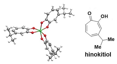 Science：“穿墙术”，天然产物小分子的补铁大招