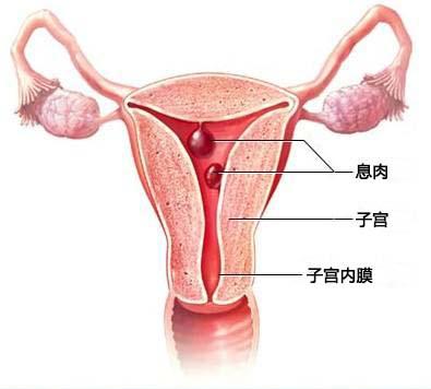 一次月经用10张卫生巾正常吗,一次例假用七片卫生巾正常吗