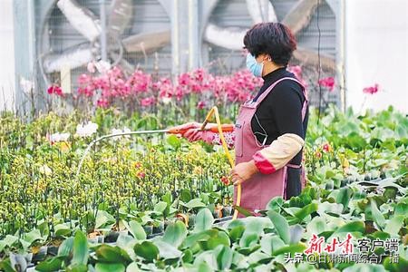 决战决胜脱贫攻坚年,决战决胜脱贫攻坚