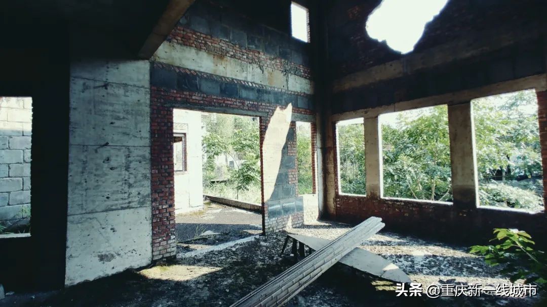 荒野求生之神秘洞穴,荒野求生神秘洞穴