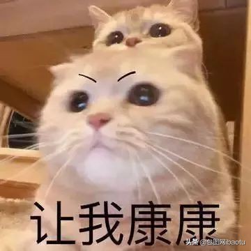 “抽过的烟头”、“半死不活的蚊子”,这些奇葩商品刷新网友三观