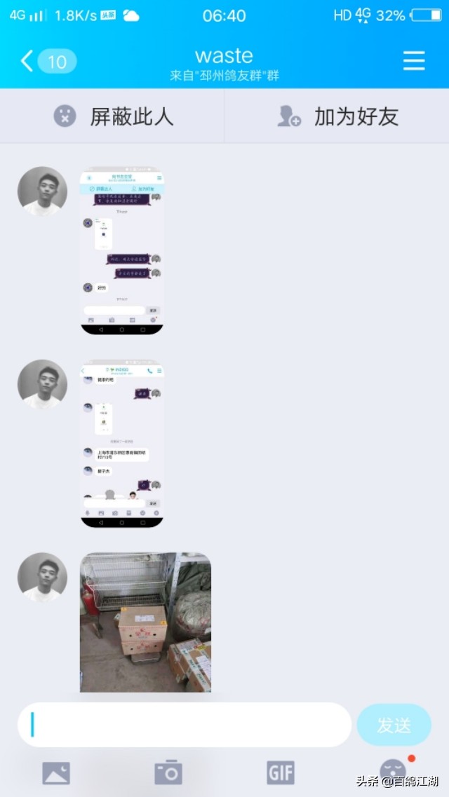 养鸽子是不是骗局,养鸽人买来的教训