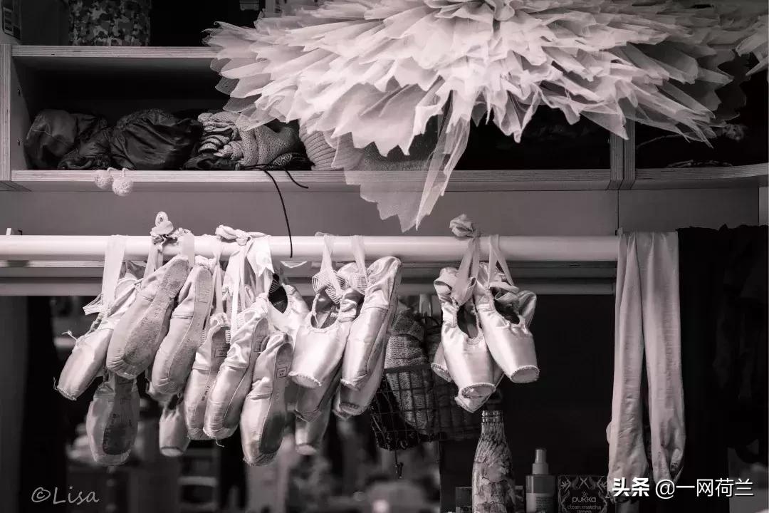 芭蕾舞演员张媛媛个人资料,荷兰国家芭蕾舞团张媛媛