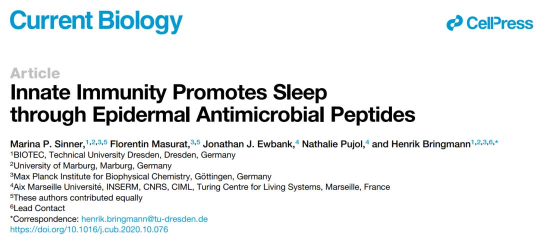 睡觉疗伤,睡觉有助于恢复伤口