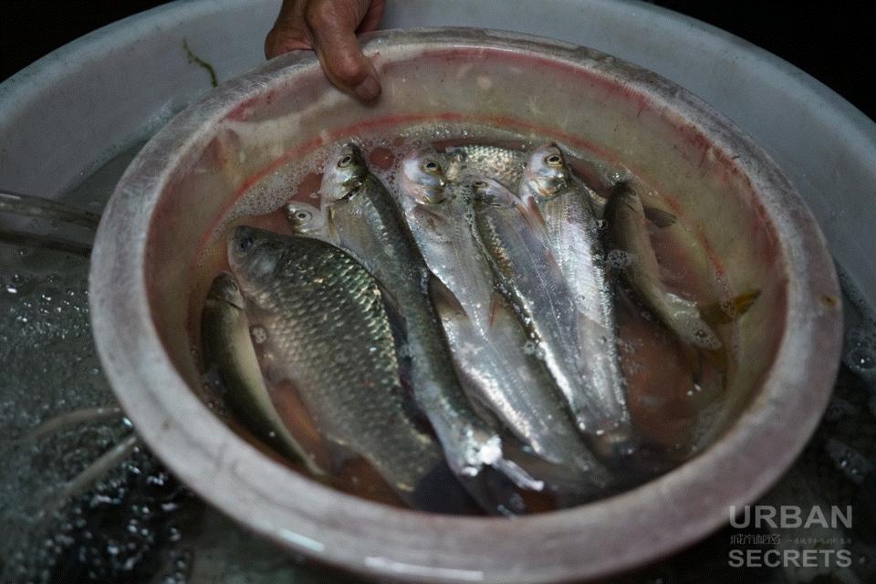 钱塘江鱼市,钱塘江神话传奇故事