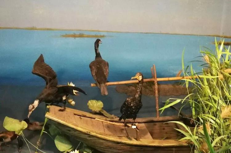 长春一日游有什么好玩的,长春一日游玩的地方都有哪些