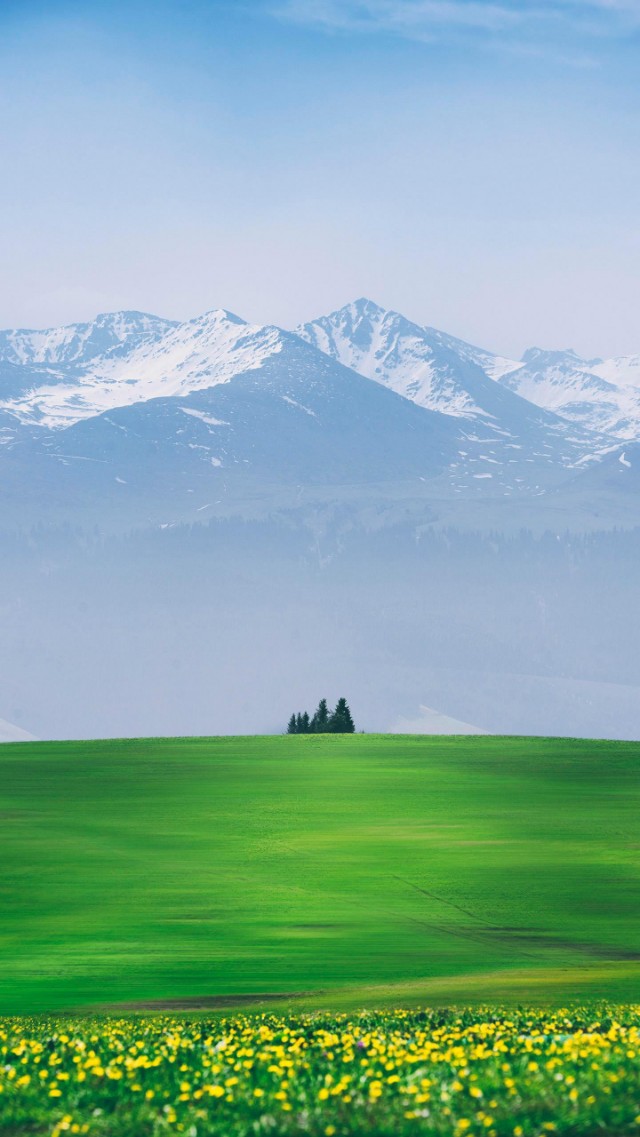 晚上睡觉肛门坠胀是什么原因,下腹隐痛肛门坠胀感觉要大便