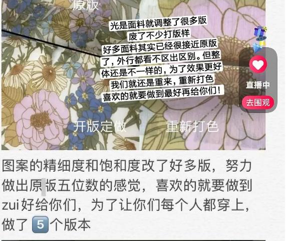 张大奕与网红对比,张大奕山寨品牌排行