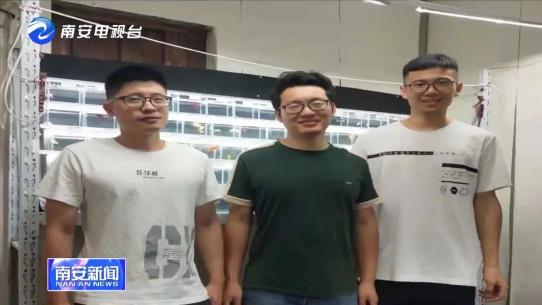 90后小伙的“斗鱼”梦：泰国斗鱼从南安“游”到全国各地！