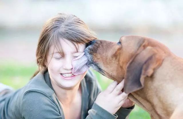 狗狗总爱舔舔舔，这是咋回事？