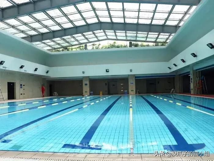 合肥游泳避暑地点,合肥避暑好玩的地方