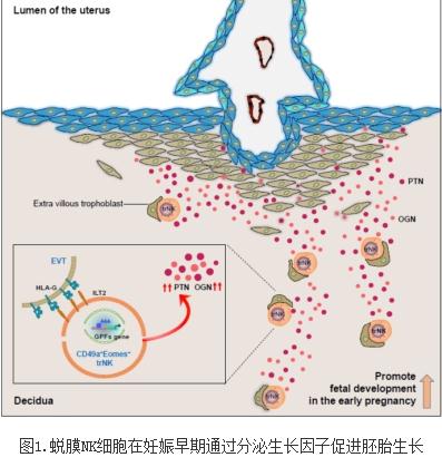 花了3000祛斑没效果怎么办,花了三万买的东西