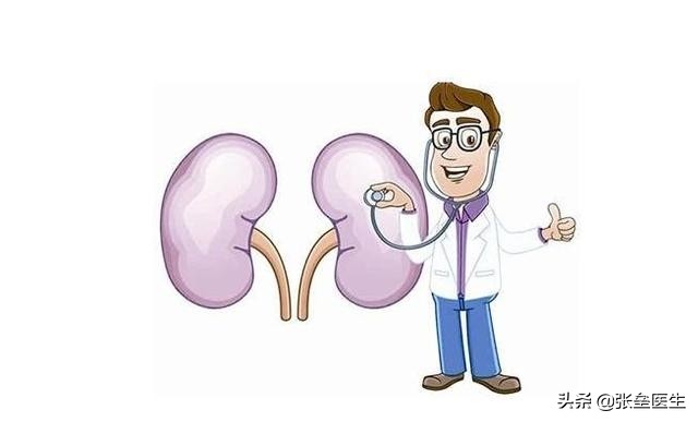 尿毒症为什么不治肾衰竭而去透析,尿毒症为什么做透析不换肾