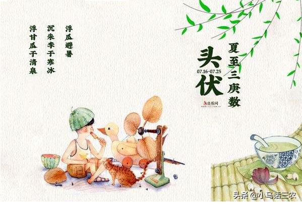 小暑后迎三伏，2020年什么时候入伏？什么时候最热？看完有数了