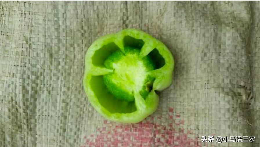 西红柿空心果怎么解决,西红柿怎么管理才不空心不裂开