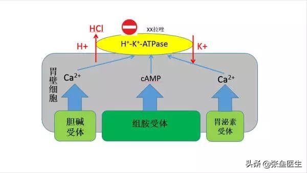 反酸烧心可以经常吃奥美拉唑吗,胃反酸烧心吃奥美拉唑好使不