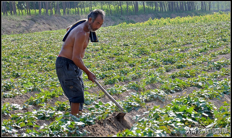 从小生活在农村的感觉,从小就在农村生活