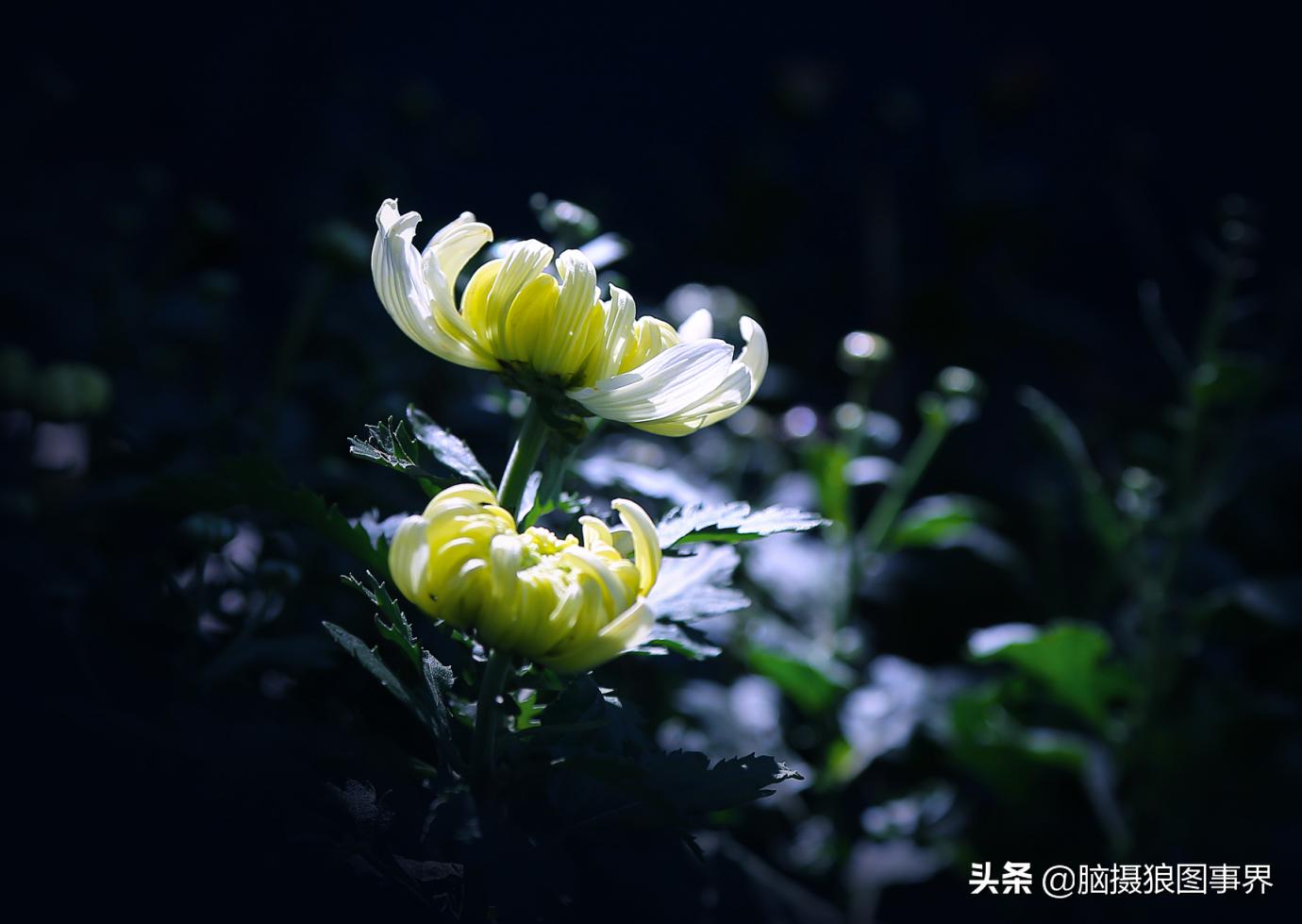 后期修图的技巧和方法,拍照后期修图技巧