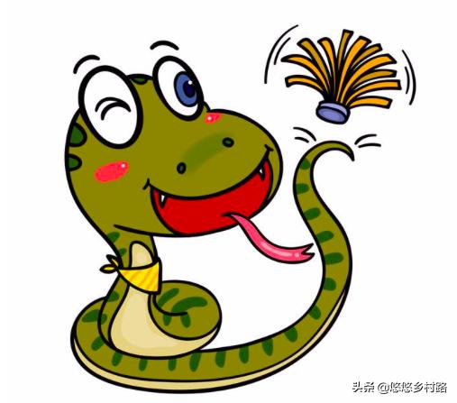 在农村最怕蛇咋办,夏天农村蛇爱出去怎么办